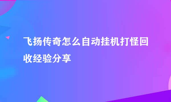 飞扬传奇怎么自动挂机打怪回收经验分享