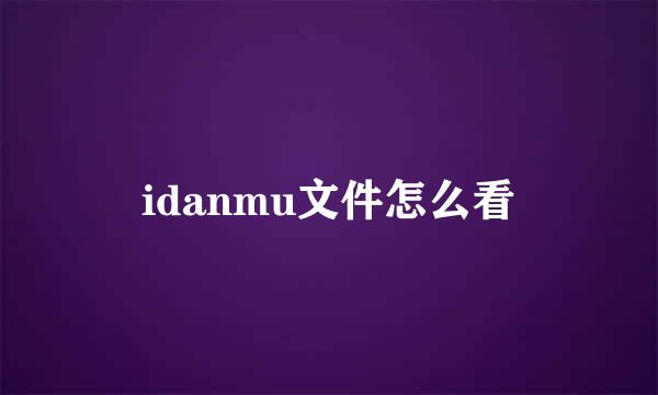 idanmu文件怎么看