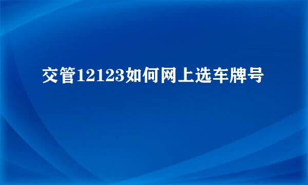 交管12123如何网上选车牌号