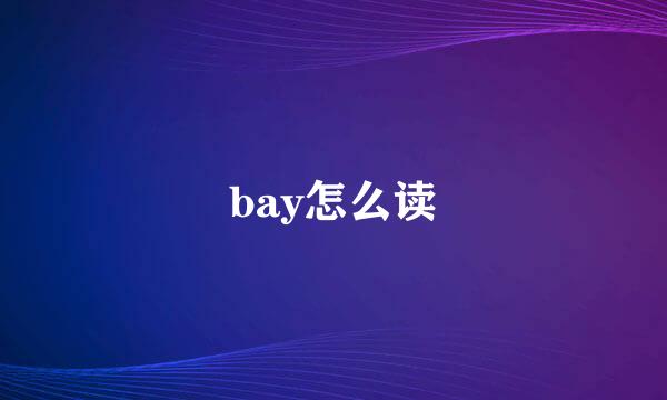 bay怎么读