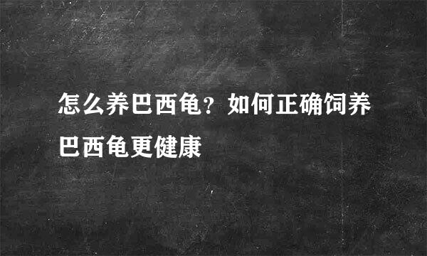 怎么养巴西龟？如何正确饲养巴西龟更健康