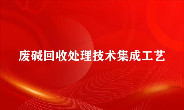 废碱回收处理技术集成工艺