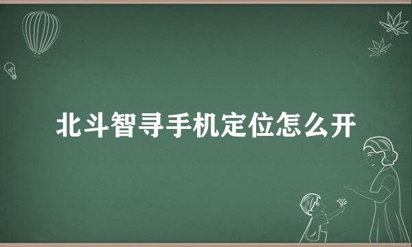 北斗智寻手机定位怎么开