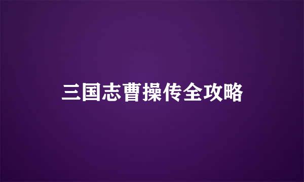 三国志曹操传全攻略