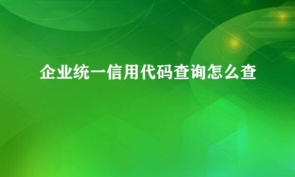 企业统一信用代码查询怎么查