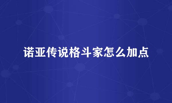 诺亚传说格斗家怎么加点