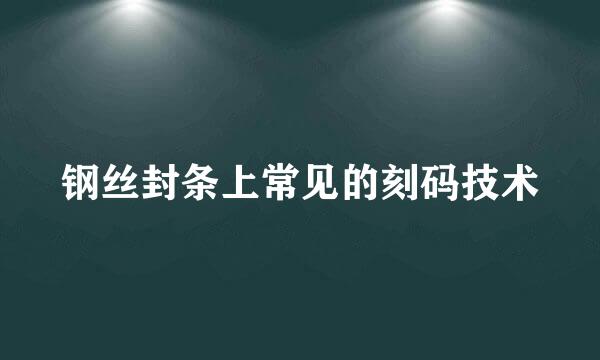 钢丝封条上常见的刻码技术