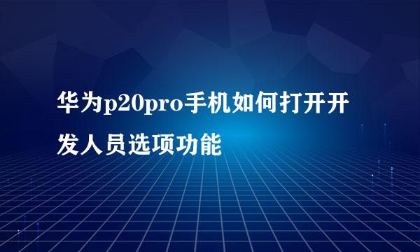 华为p20pro手机如何打开开发人员选项功能