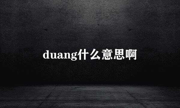 duang什么意思啊