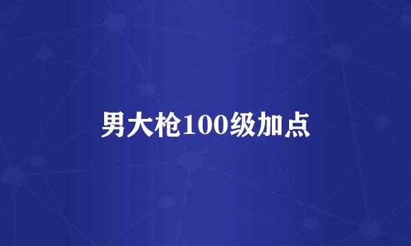 男大枪100级加点