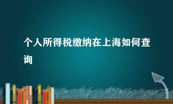 个人所得税缴纳在上海如何查询