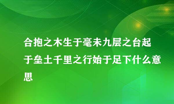 合抱之木生于毫未九层之台起于垒土千里之行始于足下什么意思