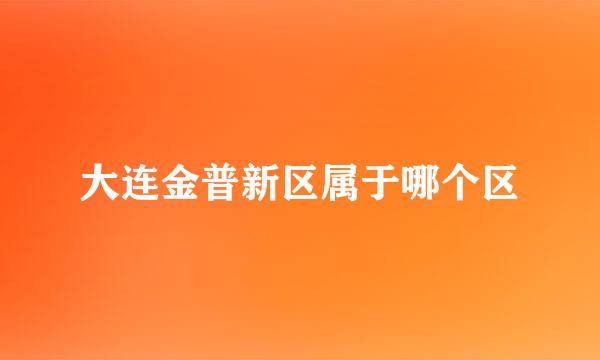 大连金普新区属于哪个区