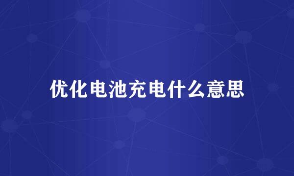 优化电池充电什么意思