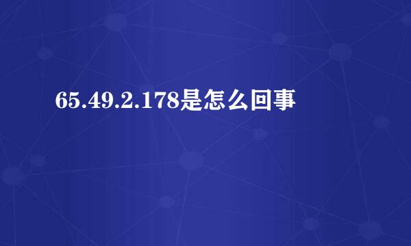 65.49.2.178是怎么回事