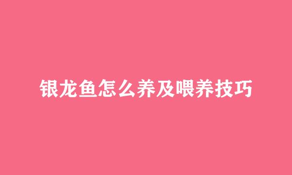 银龙鱼怎么养及喂养技巧