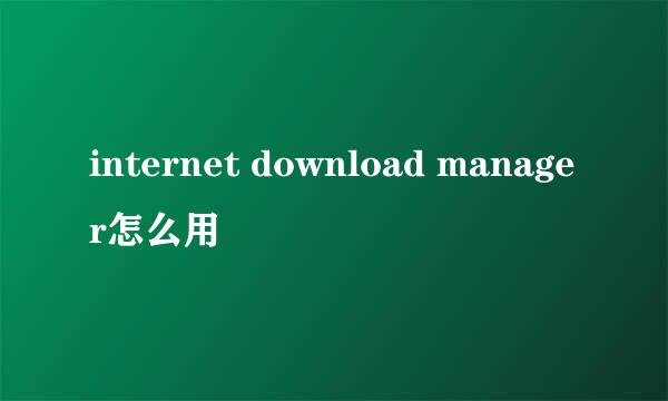 internet download manager怎么用