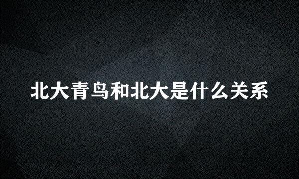 北大青鸟和北大是什么关系