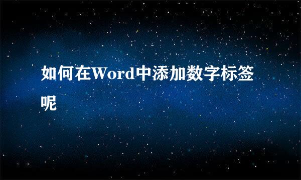 如何在Word中添加数字标签呢