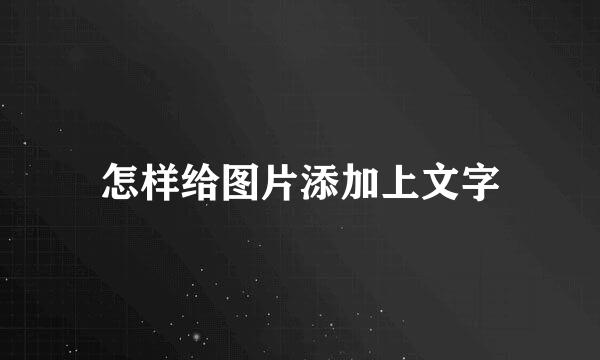 怎样给图片添加上文字