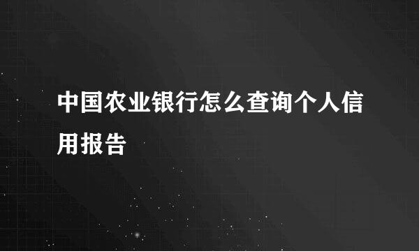 中国农业银行怎么查询个人信用报告