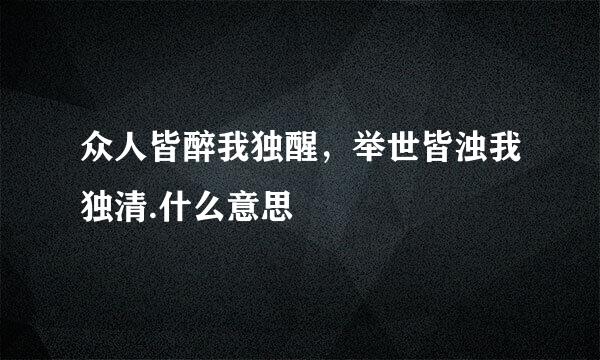 众人皆醉我独醒，举世皆浊我独清.什么意思