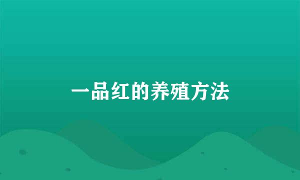 一品红的养殖方法