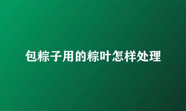 包粽子用的粽叶怎样处理