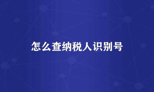 怎么查纳税人识别号