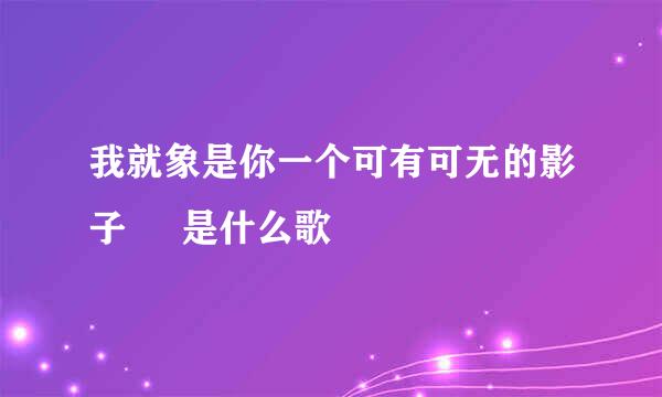 我就象是你一个可有可无的影子     是什么歌