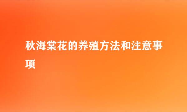 秋海棠花的养殖方法和注意事项