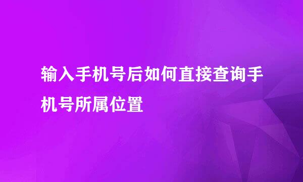 输入手机号后如何直接查询手机号所属位置