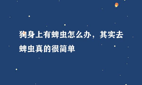 狗身上有蜱虫怎么办，其实去蜱虫真的很简单