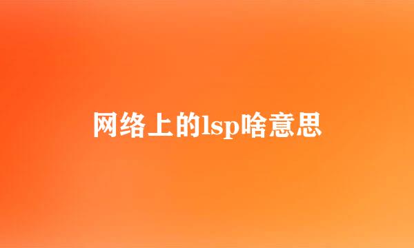 网络上的lsp啥意思