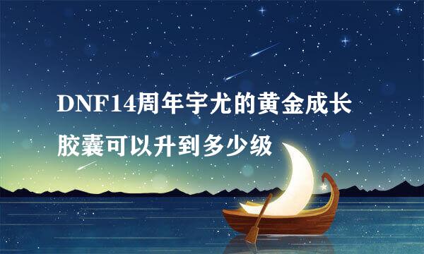 DNF14周年宇尤的黄金成长胶囊可以升到多少级