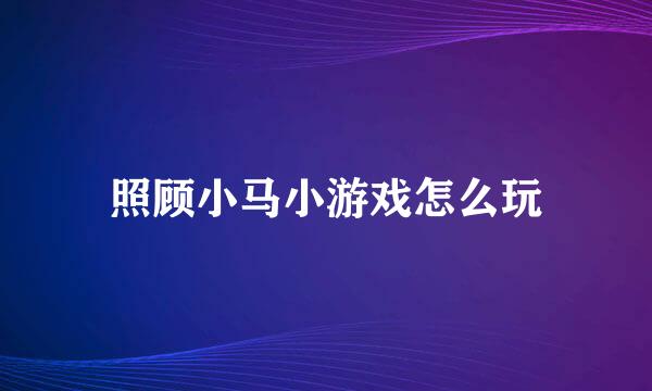 照顾小马小游戏怎么玩