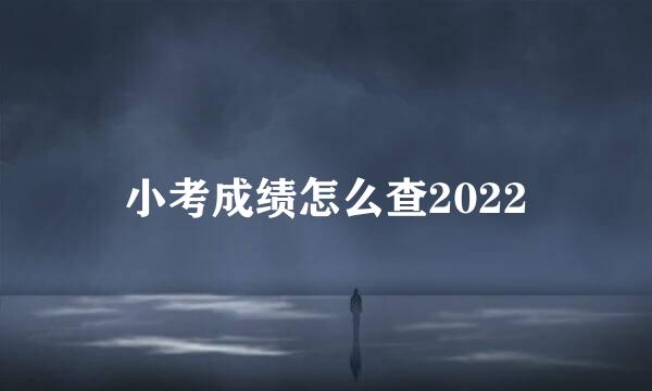 小考成绩怎么查2022