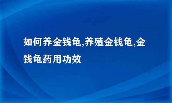 如何养金钱龟,养殖金钱龟,金钱龟药用功效