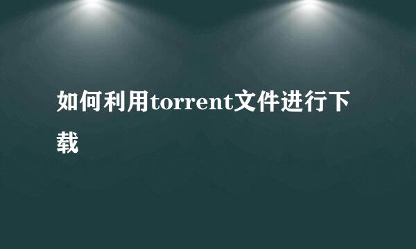 如何利用torrent文件进行下载