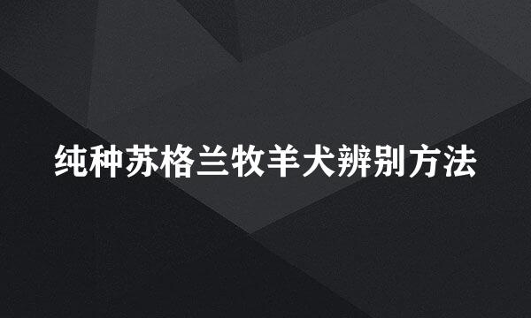 纯种苏格兰牧羊犬辨别方法