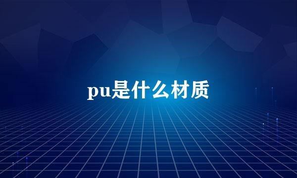 pu是什么材质