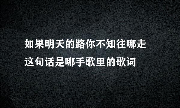 如果明天的路你不知往哪走 这句话是哪手歌里的歌词