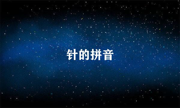 针的拼音