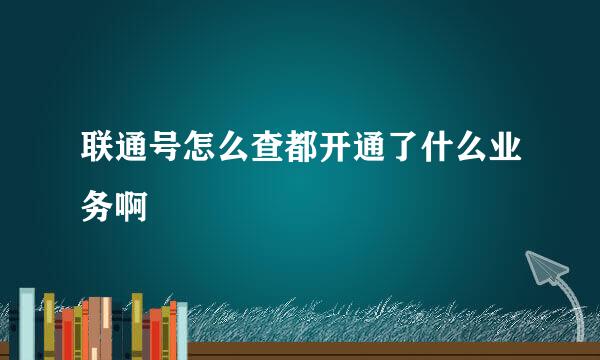 联通号怎么查都开通了什么业务啊