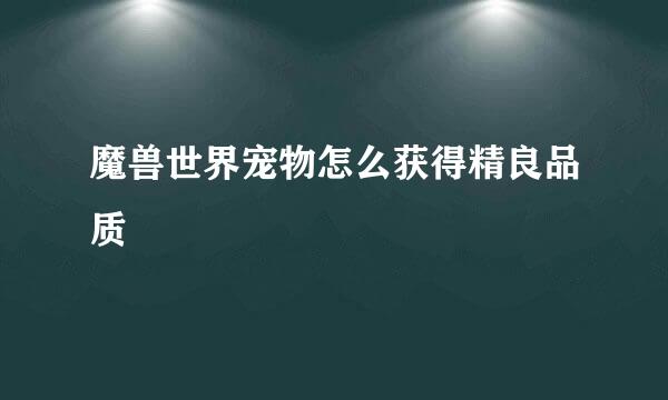 魔兽世界宠物怎么获得精良品质