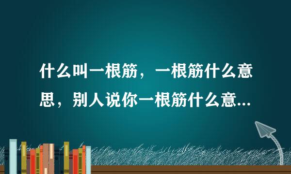 什么叫一根筋，一根筋什么意思，别人说你一根筋什么意思？举个例子，死心眼什么意思？别人说你死心眼是什