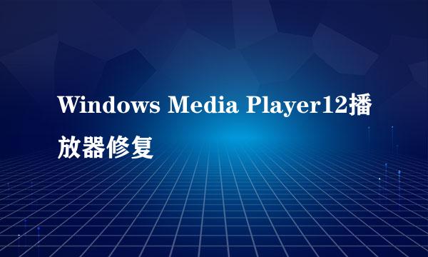 Windows Media Player12播放器修复