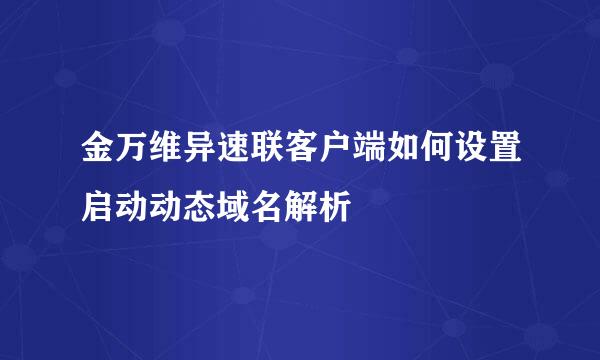 金万维异速联客户端如何设置启动动态域名解析