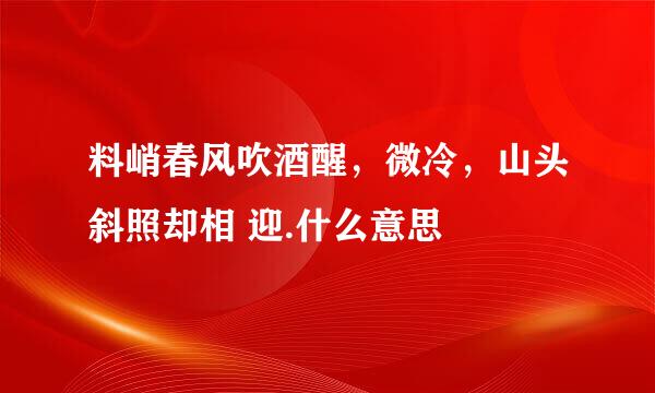 料峭春风吹酒醒，微冷，山头斜照却相 迎.什么意思