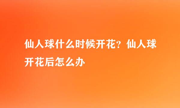 仙人球什么时候开花？仙人球开花后怎么办